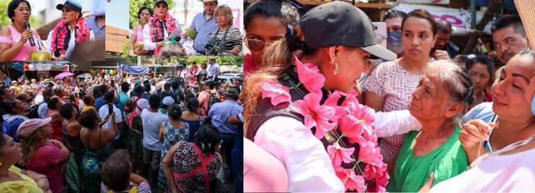Vamos a trabajar juntos por Mercado Central de Acapulco: Evelyn Salgado