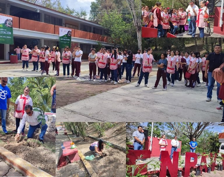 Sembrar árboles como medida para abatir el cambio climático: Semaren