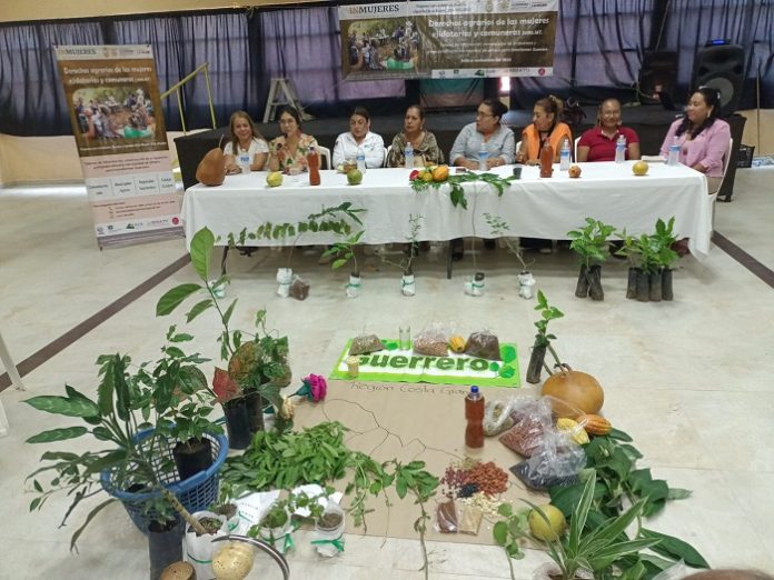 SEMUJER Talleres de Derechos Agrarios de Mujeres en Guerrero