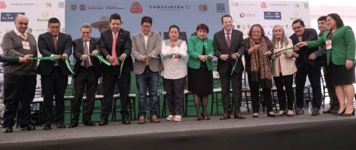Autosuficiencia Alimentaria no Implica Cierre del Mercado Mexicano, México busca la autosuficiencia en maíz, arroz, trigo y frijol