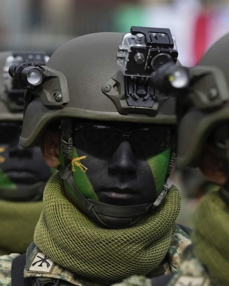 «Acciones de Seguridad en Tabasco: Resultados y Compromiso del Gobierno de México»