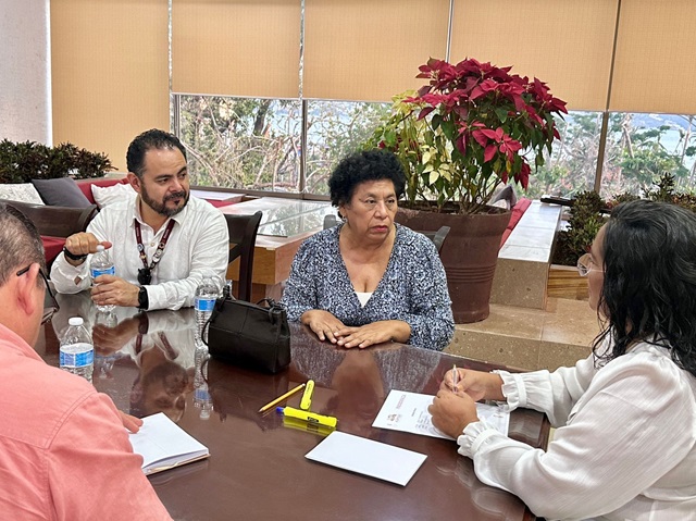 Acuerdan reforzar acciones contra el dengue en Acapulco: SSG. Se informó que el dengue es un asunto de salud pública