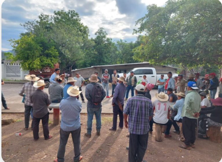 Atiende Sagadegro a productores afectados por el huracán Otis