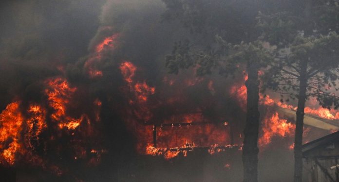 Tragedia en Chile: Incendios Forestales Dejan 112 Muertos y Miles de Desplazados. Los testimonios de los afectados reflejan el horror que se vive