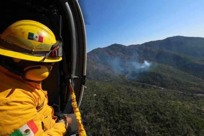 Trabajos de Prevención y Combate de Incendios Forestales en Acapulco: Reporte de Avances y Acciones Coordinadas
