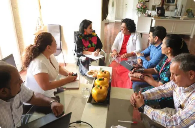 Presenta Salud plan de combate al dengue en Chilpancingo