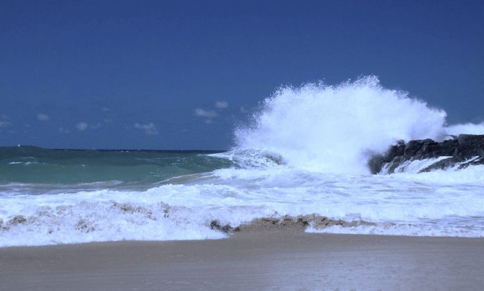 🌊⚠️ 