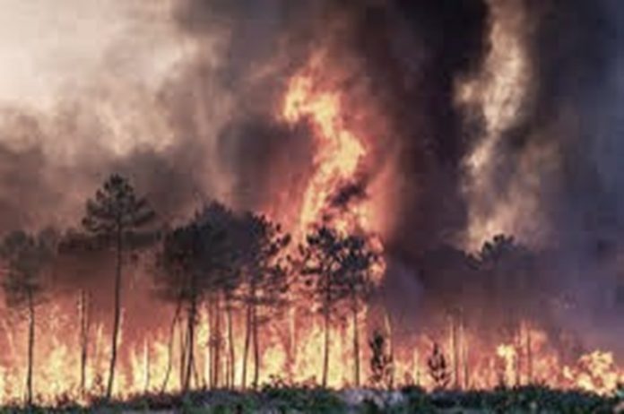 Francia enfrenta el peor incendio del verano: 13.000 hectáreas arrasadas y una víctima mortal en Corbières, olas de calor más intensas, sequías prolongadas y megaincendios más frecuentes y destructivos