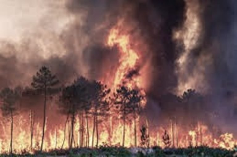 Francia enfrenta el peor incendio del verano