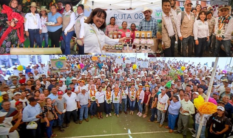 🌱 Inicia Sembratón 2025: 60 millones de árboles para combatir el cambio climático