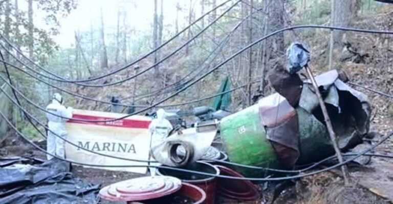 🚨 Marina desmantela 2 laboratorios clandestinos en Durango