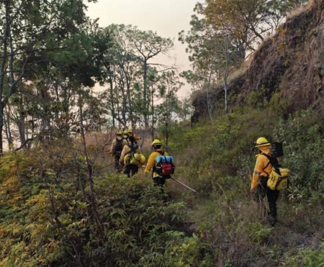 Refuerzan combate de incendio forestal en la Autopista del Sol con brigadas interinstitucionales