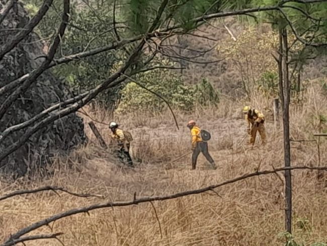 Se atienden de manera coordinada siete incendios forestales en Guerrero