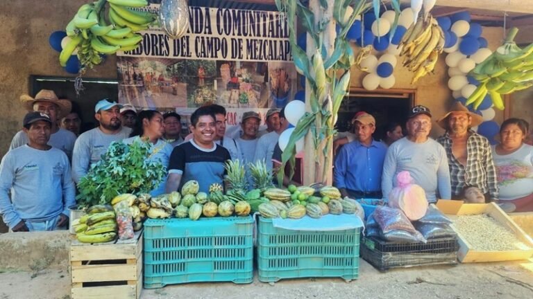 Sembrando Vida impulsa 3,800 del tianguis campesinos en México