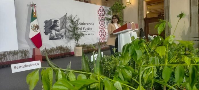 La Jornada Nacional de Reforestación 2026 busca plantar 6.6 millones de árboles este 9 de agosto. Conoce cómo participar y adoptar el tuyo.