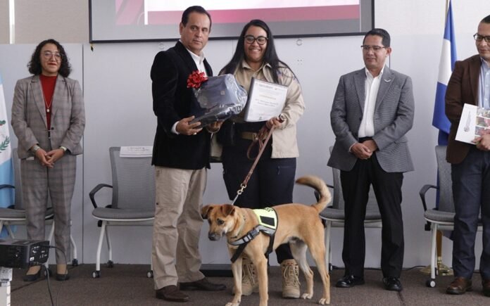 México capacita binomios caninos para detectar plagas y enfermedades agropecuarias en fronteras y fortalecer la seguridad alimentaria de la región